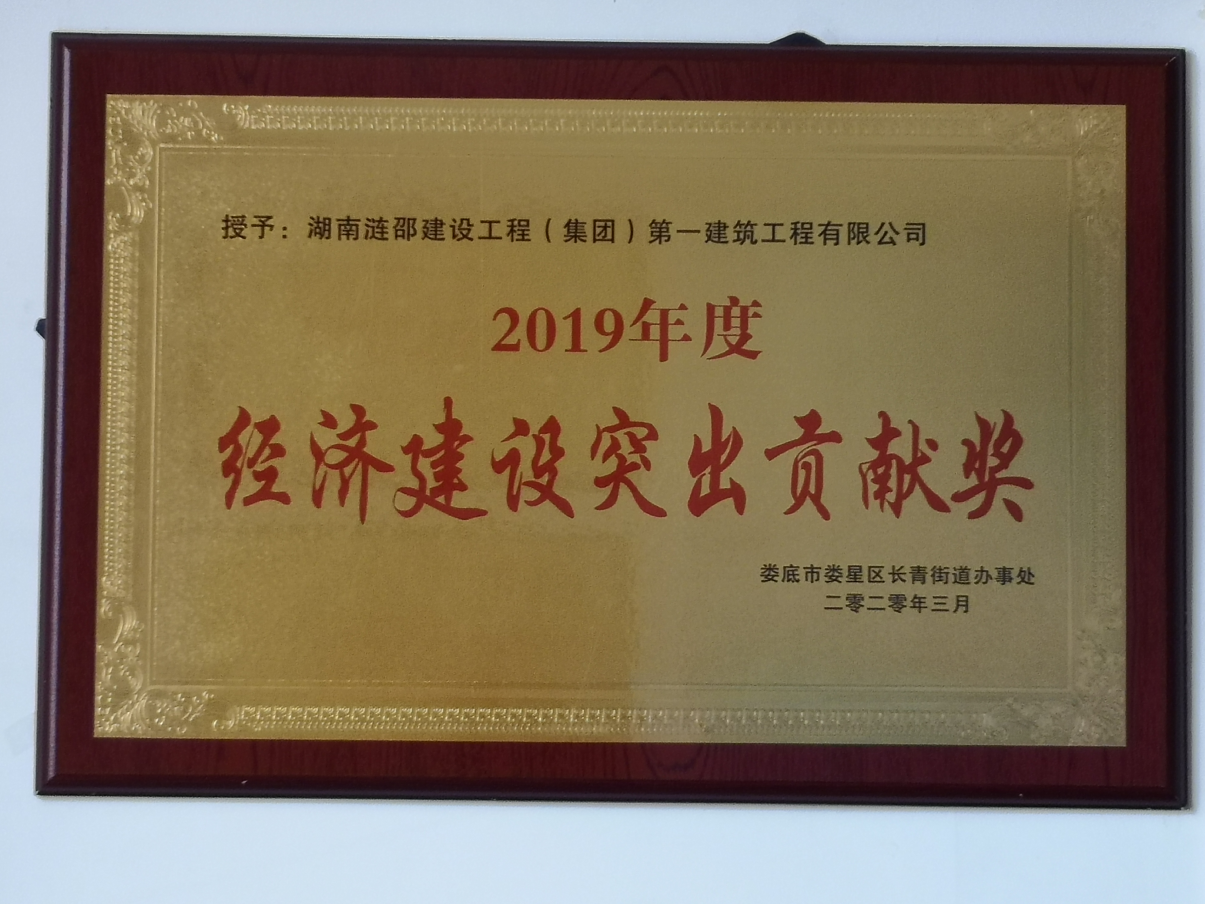 2019經(jīng)濟建設(shè)突出貢獻獎.jpg